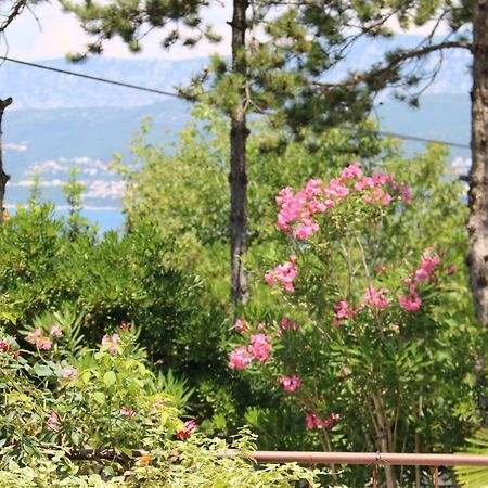 Apartments Grskovic G. Jesenovica Šilo Buitenkant foto